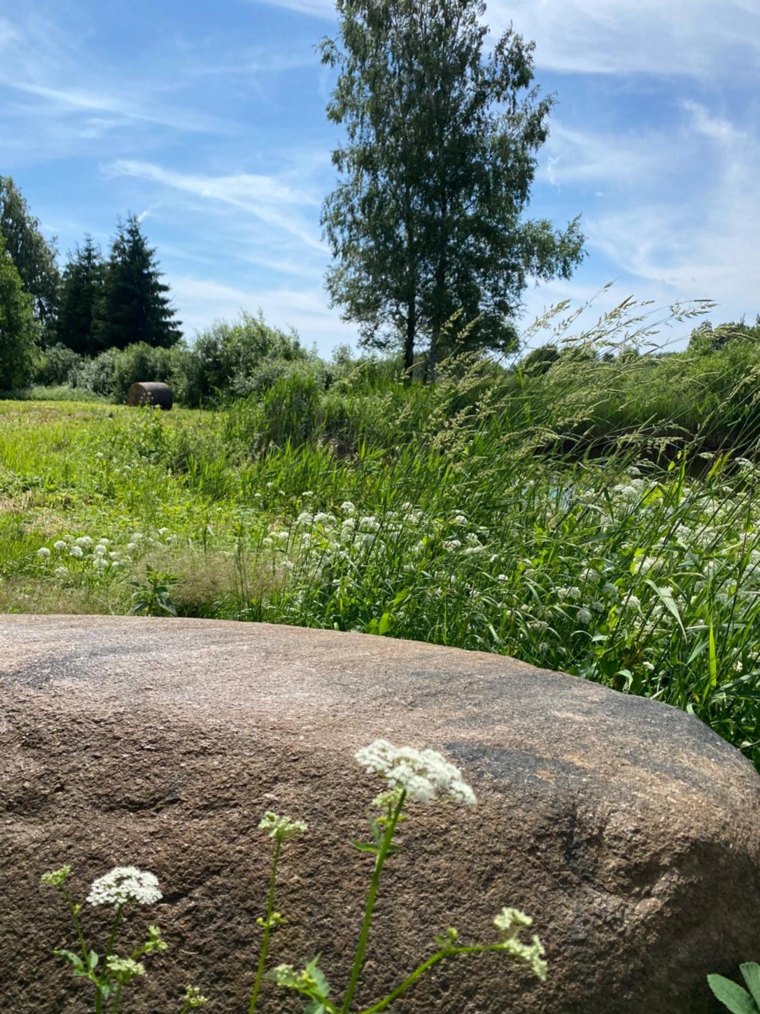 Suurkivi Nature Escape Camping