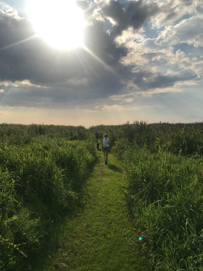 Camping Suurkivi Nature Escape *